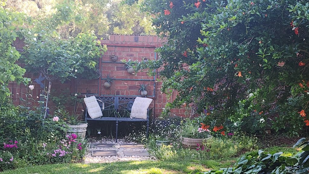 Garden Seating - Peaceful garden retreat with seating area